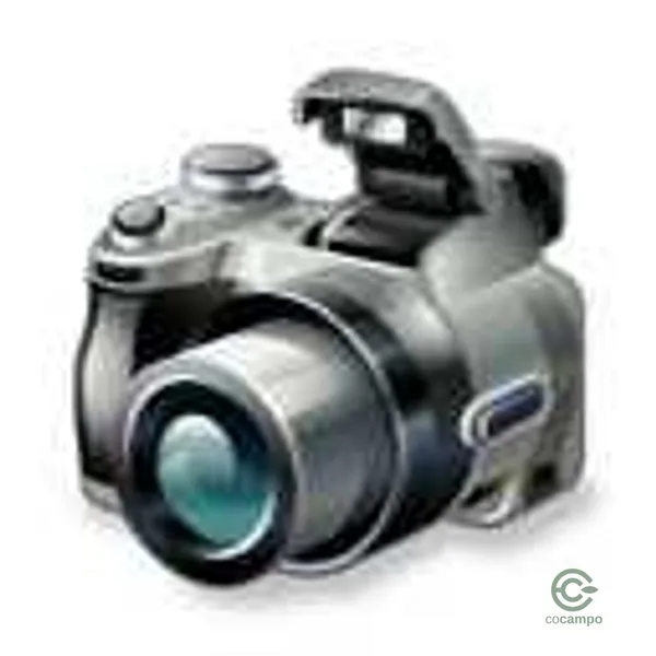 Spot image