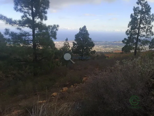 Finca agrícola de 1,0986 ha en venta en Arafo, Sta.cruz tener.
