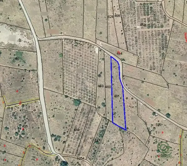 Spot image