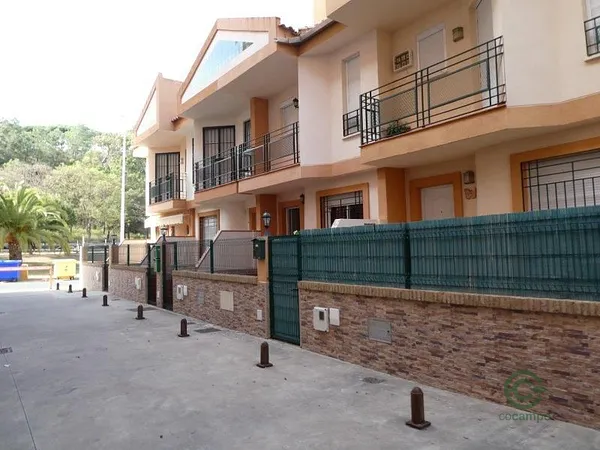 Spot image