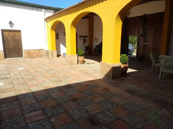 Spot image