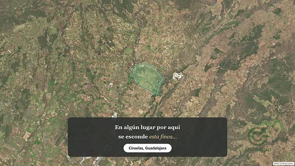 Spot image
