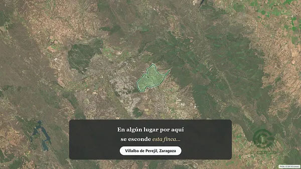 Spot image