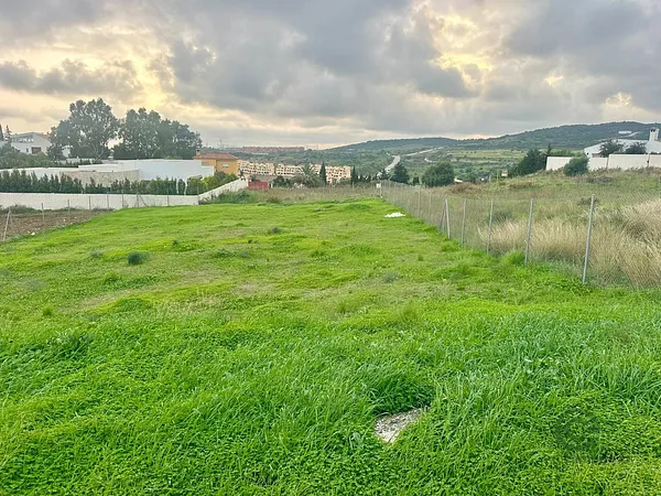 Spot image