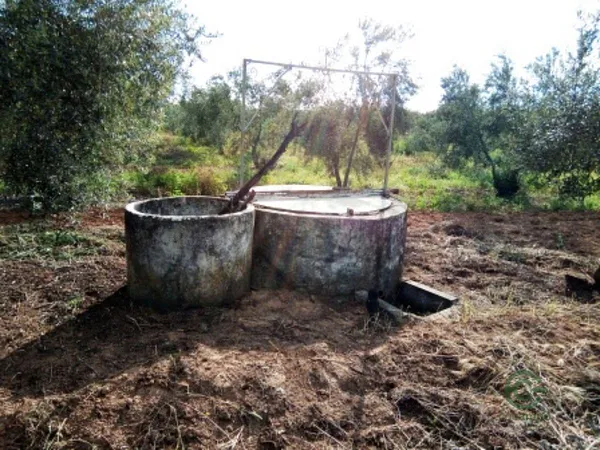 Finca agrícola de 0,5326 ha en venta en Pilas, Sevilla