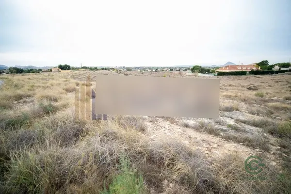 Spot image
