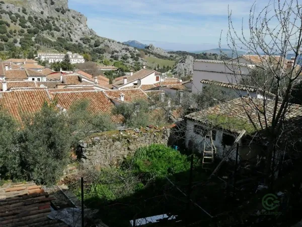 Spot image