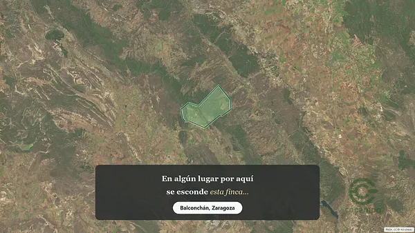 Spot image