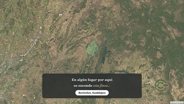Spot image