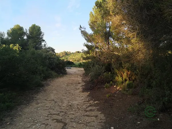 Spot image
