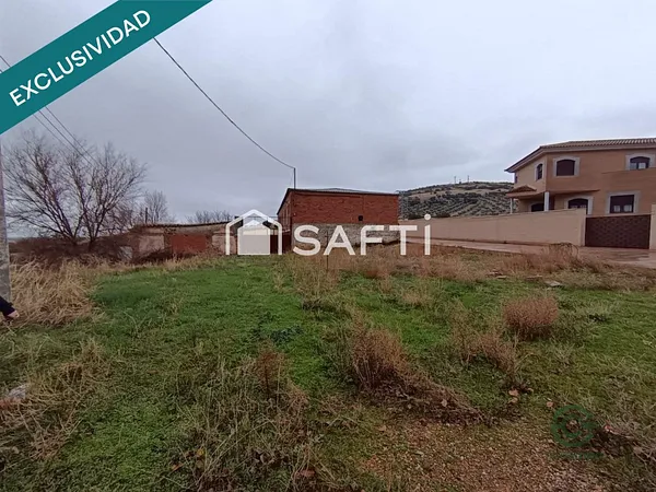 Spot image