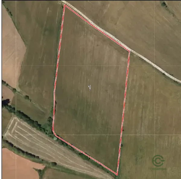 Spot image