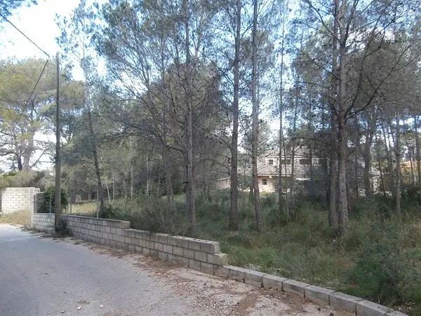 Finca rústica de 0,175 ha en venta en Alzira, Valencia