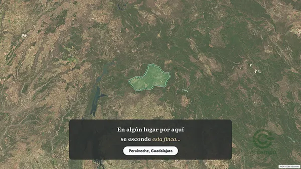 Spot image