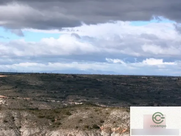 Spot image