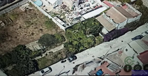 Spot image