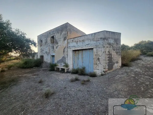 Spot image