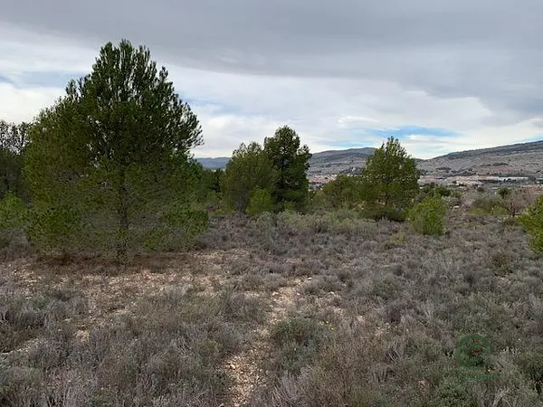 Spot image
