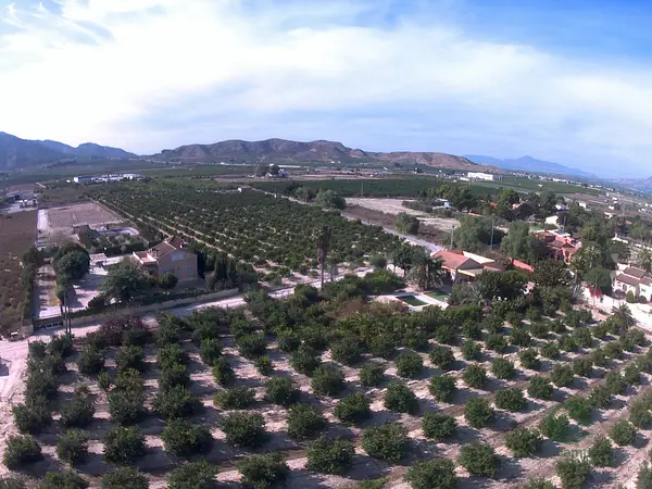 Finca rústica de 5,5 ha en venta en Alicante