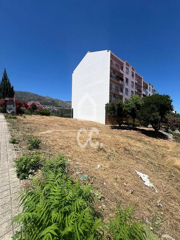 Spot image