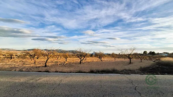 Spot image