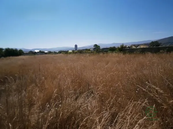 Spot image