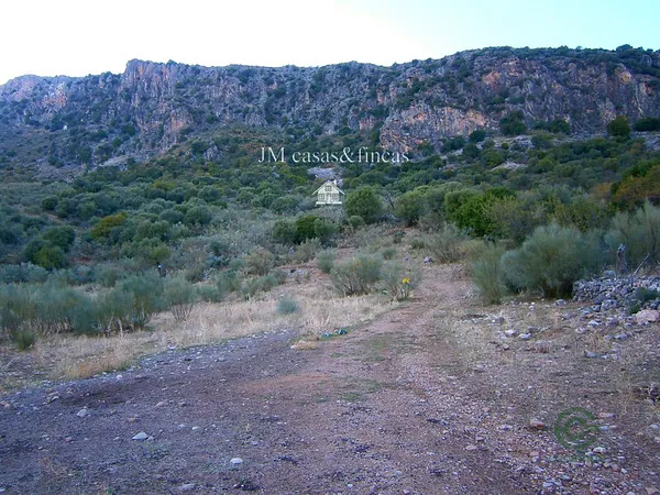 Spot image