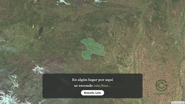 Spot image