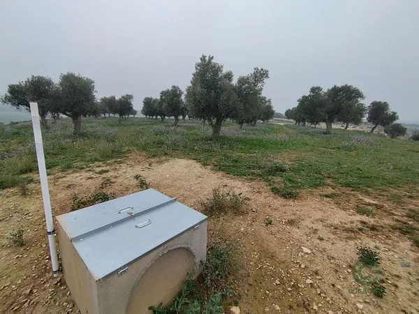 Spot image