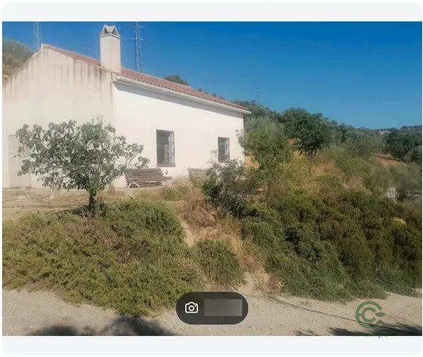 Spot image