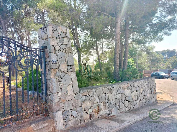 Spot image