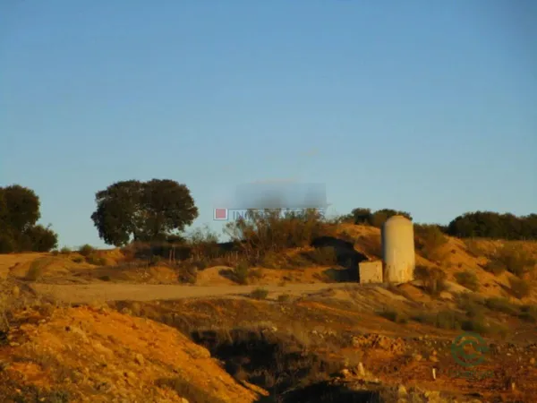 Spot image