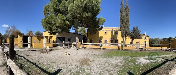 Spot image