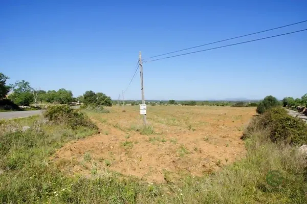 Spot image