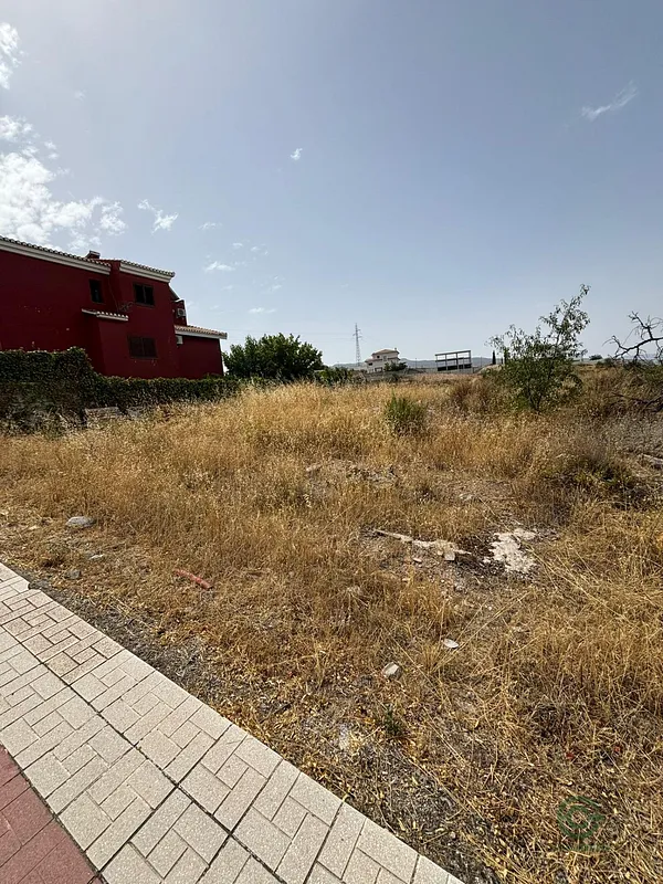 Spot image