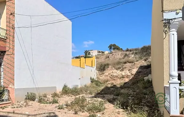 Spot image