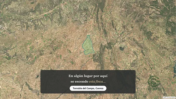 Spot image