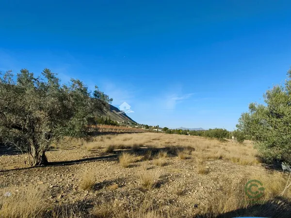 Spot image