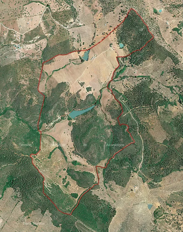 Spot image