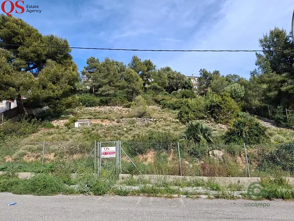 Spot image