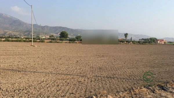 Spot image