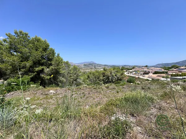 Spot image