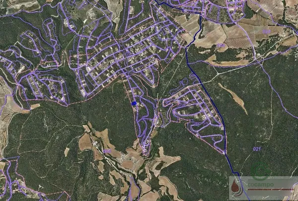 Spot image