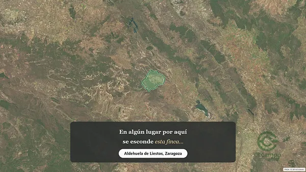 Spot image