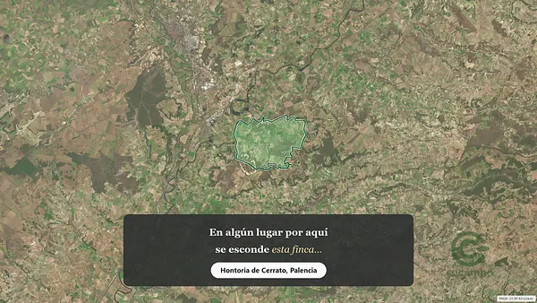 Spot image