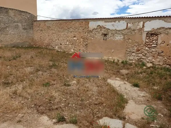 Spot image