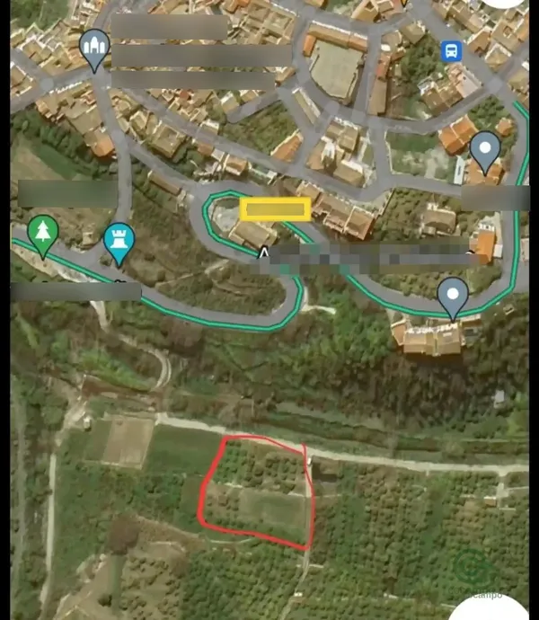 Spot image