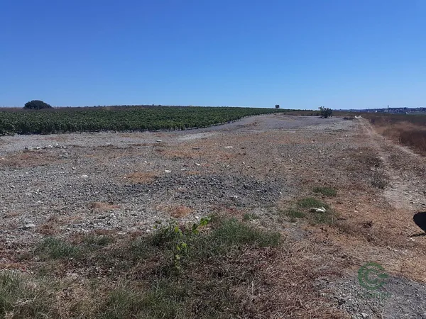 Finca agrícola de 0,3 ha en venta en Sanlucar de barrameda, Cadiz