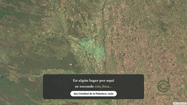 Spot image