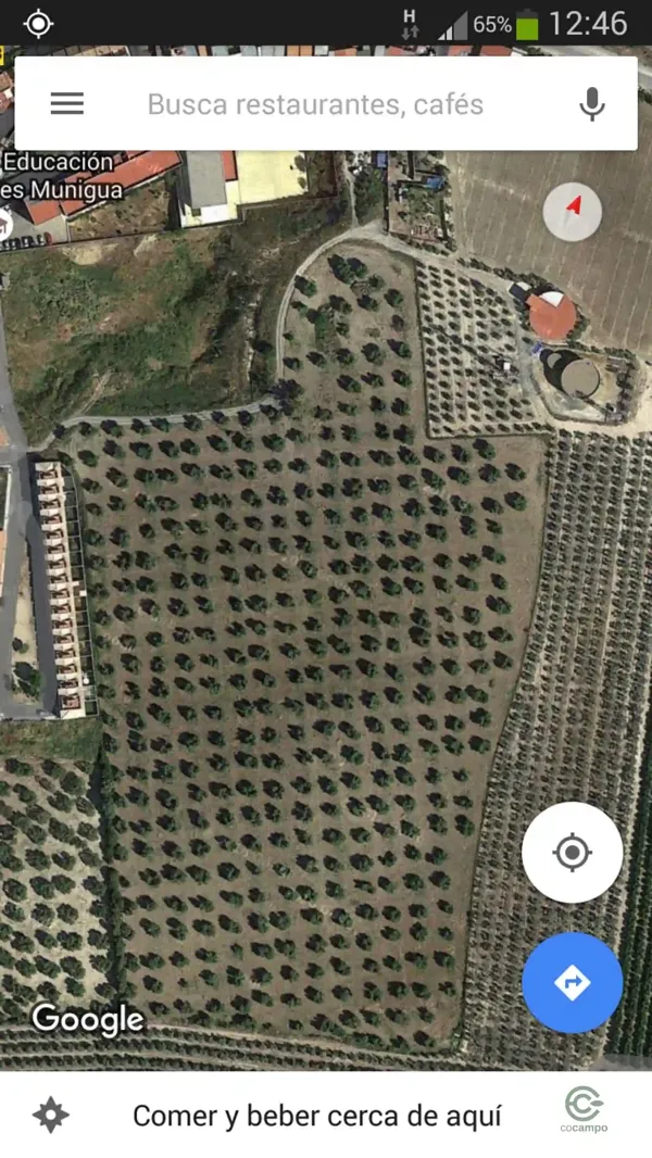 Spot image